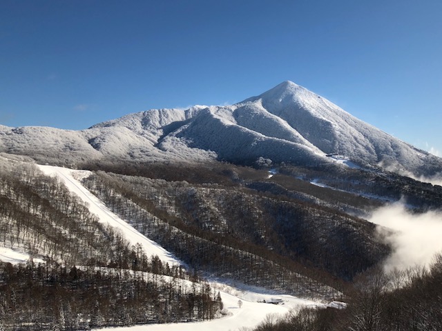 今日も寒いです***
