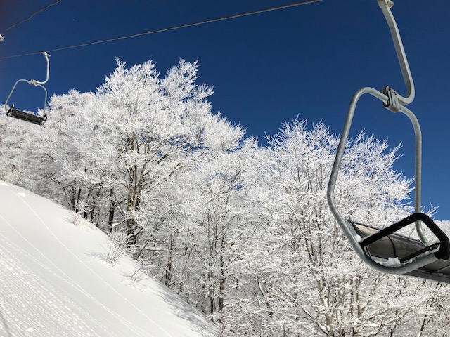 大好きな景色をご紹介