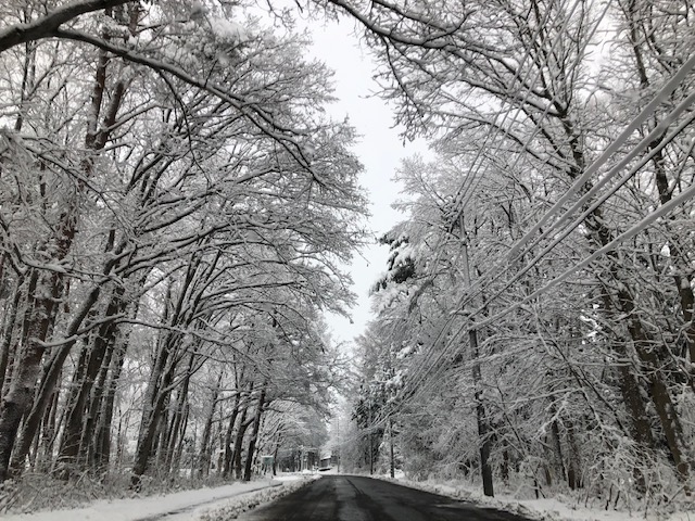 会津エリアやっと雪