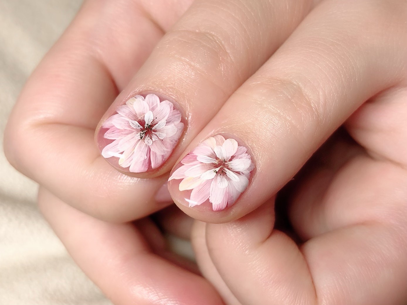 Lilynails
